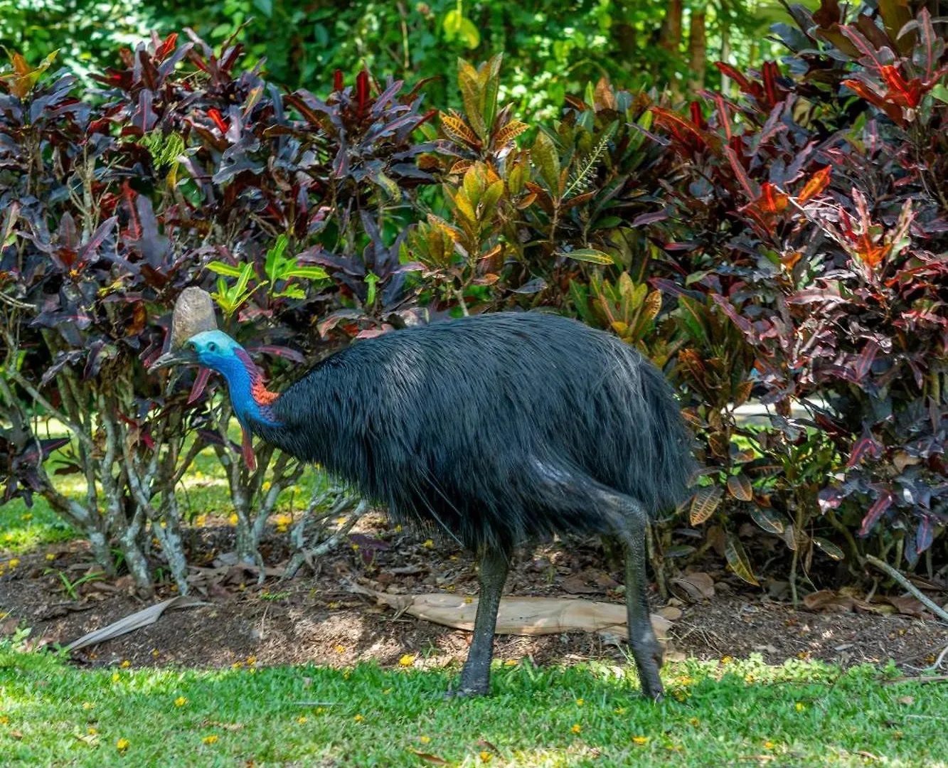 Big4 Tasman Holiday Parks - South Mission Beach
